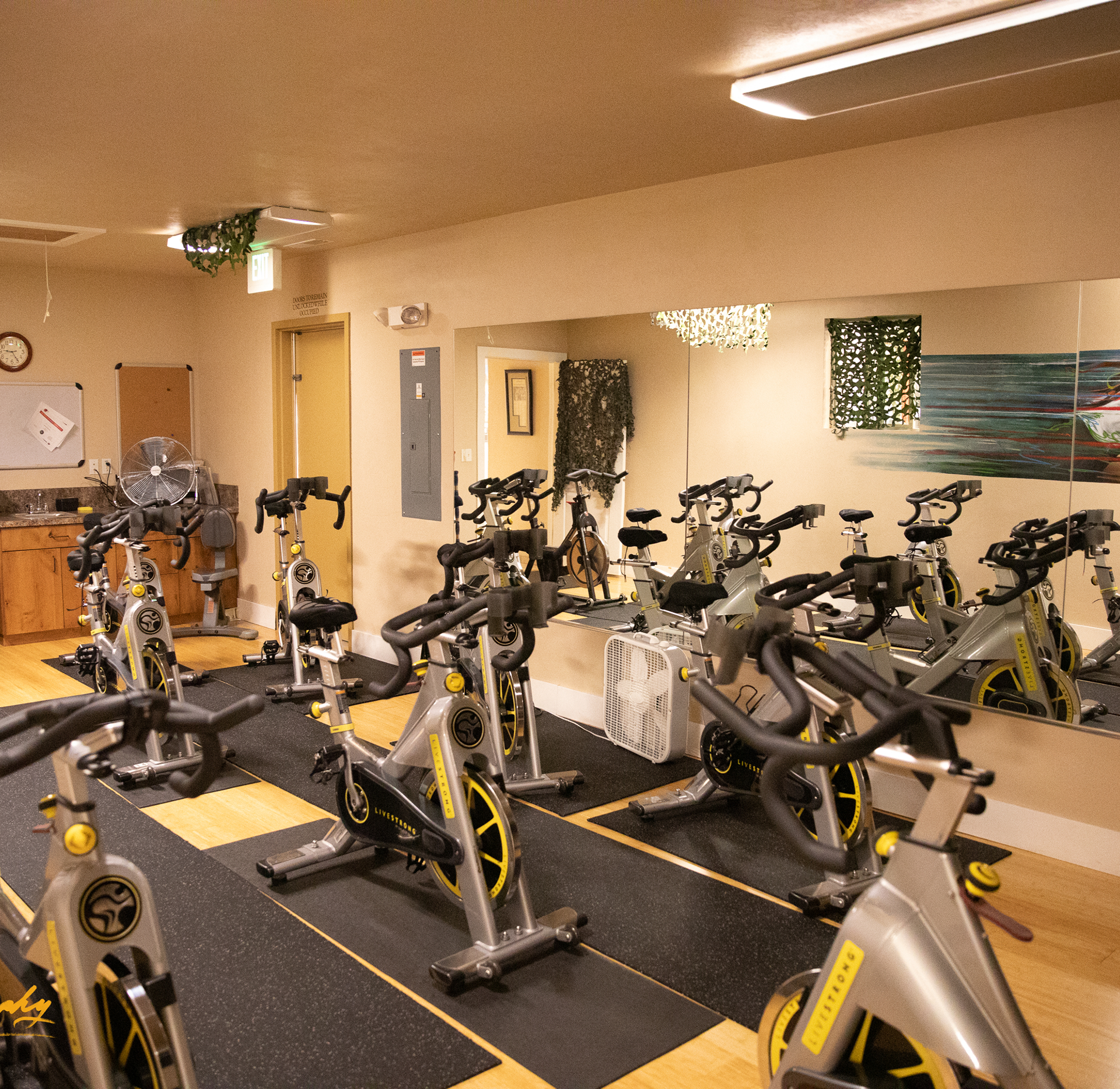 A gym room with several stationary exercise bikes lined up on black mats, large wall mirrors, wood flooring, and wall decorations, including a clock and abstract art.